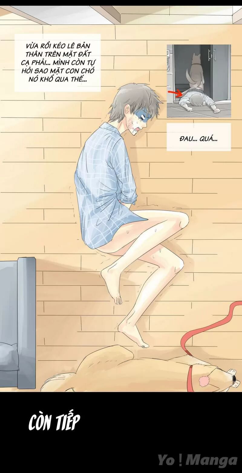 Một Con Chó: Chapter 6