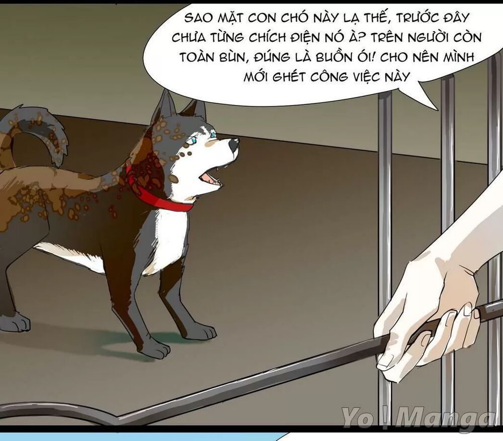 Một Con Chó: Chapter 60