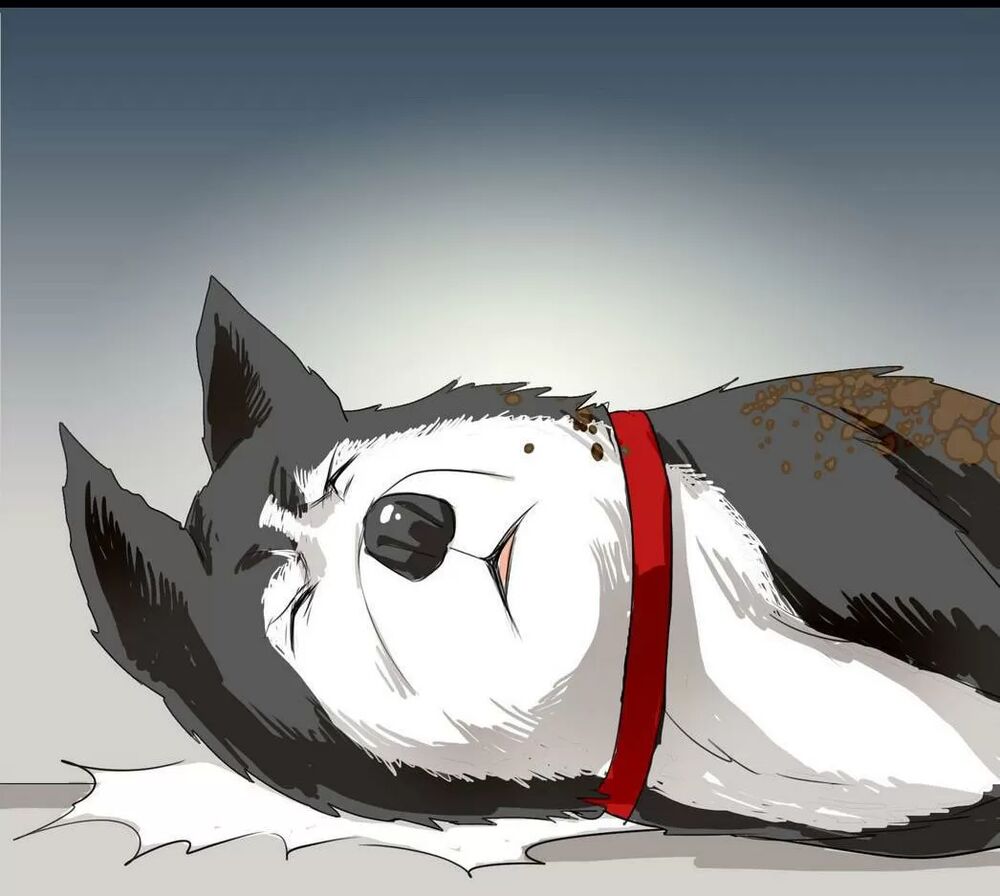 Một Con Chó: Chapter 60