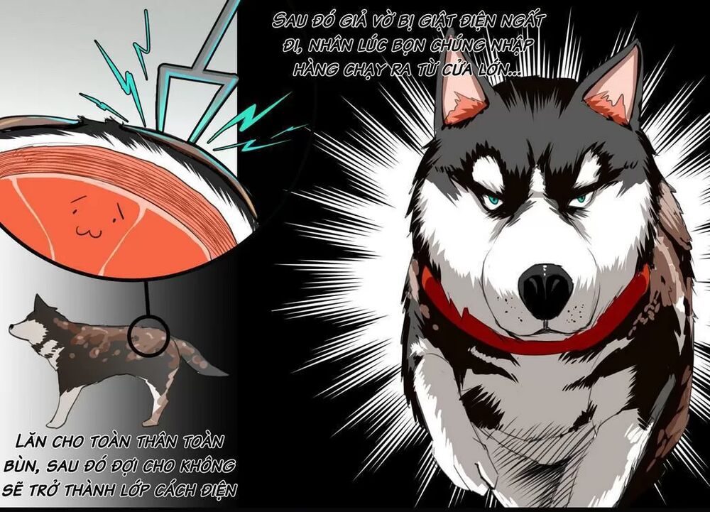 Một Con Chó: Chapter 61