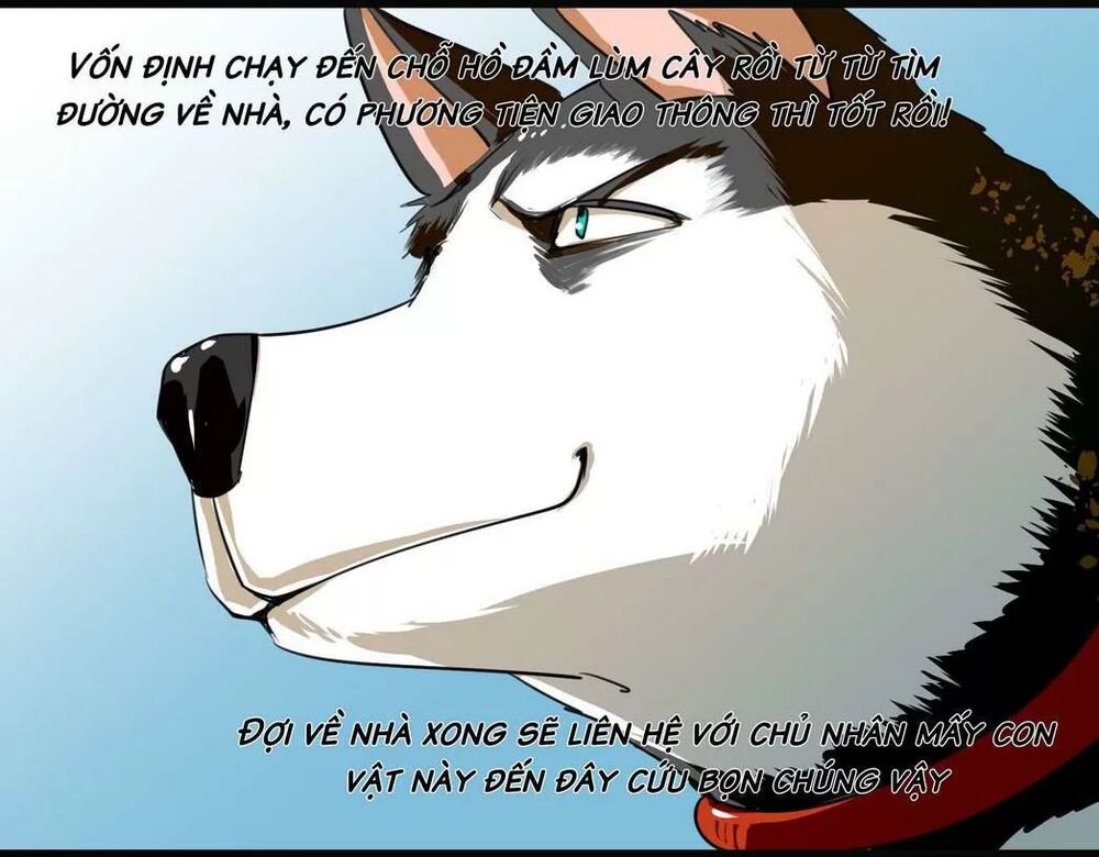 Một Con Chó: Chapter 61