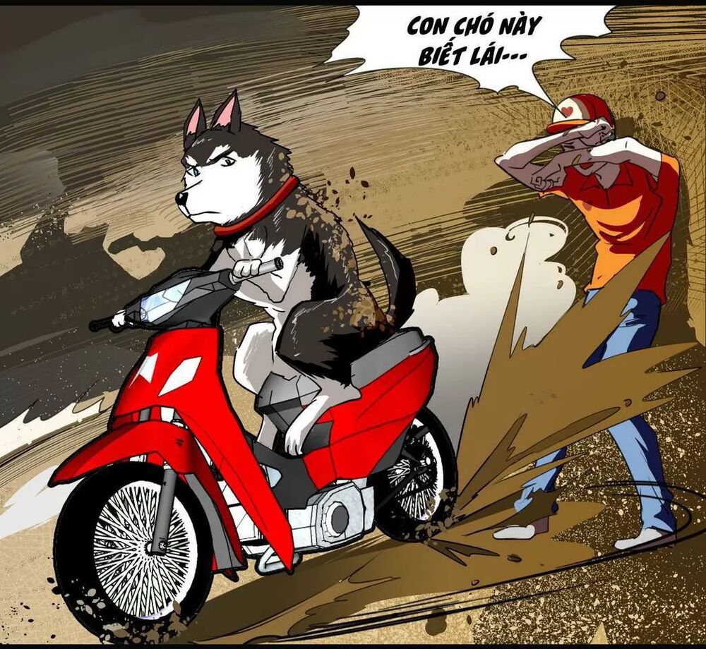 Một Con Chó: Chapter 61