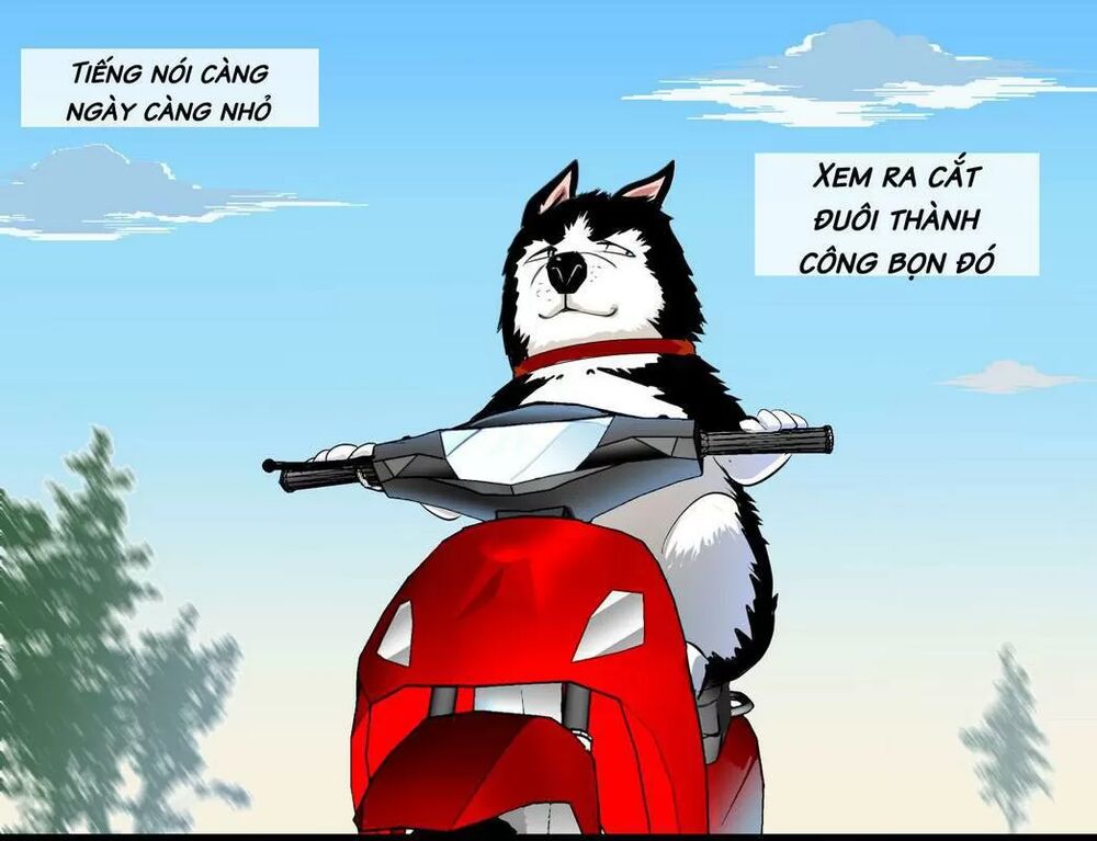 Một Con Chó: Chapter 62
