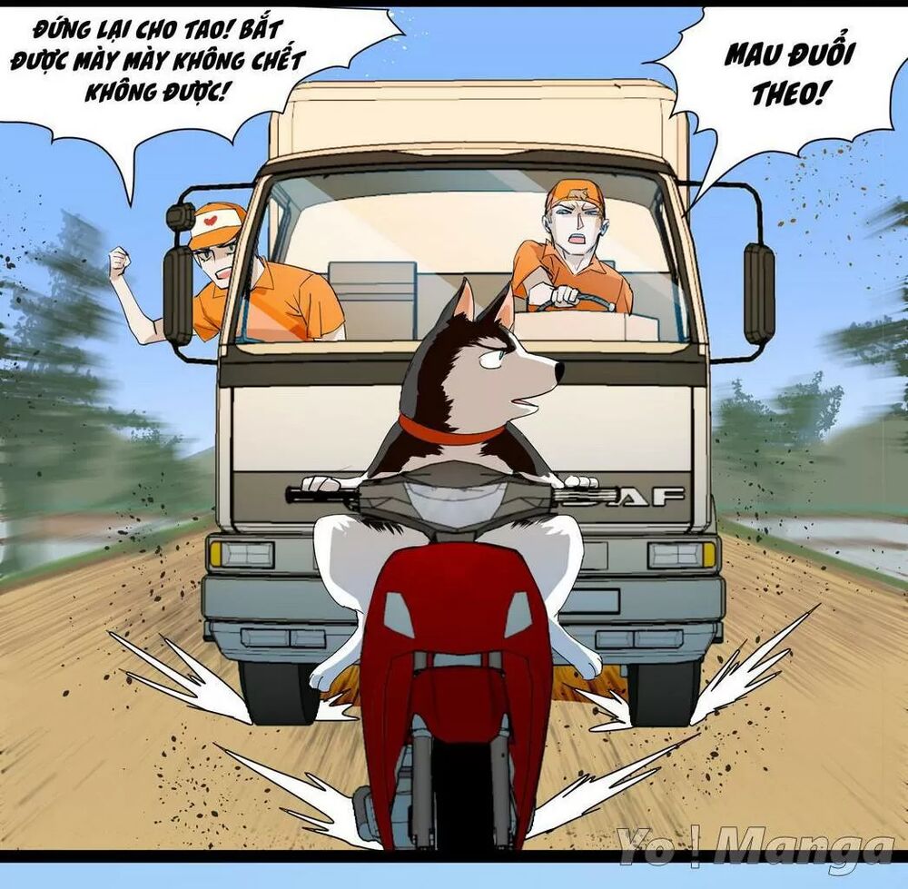 Một Con Chó: Chapter 62