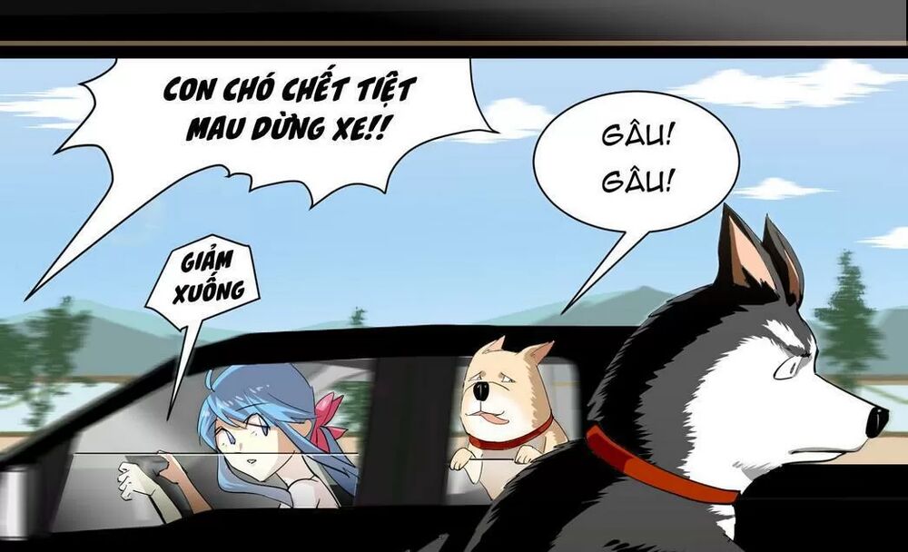 Một Con Chó: Chapter 62