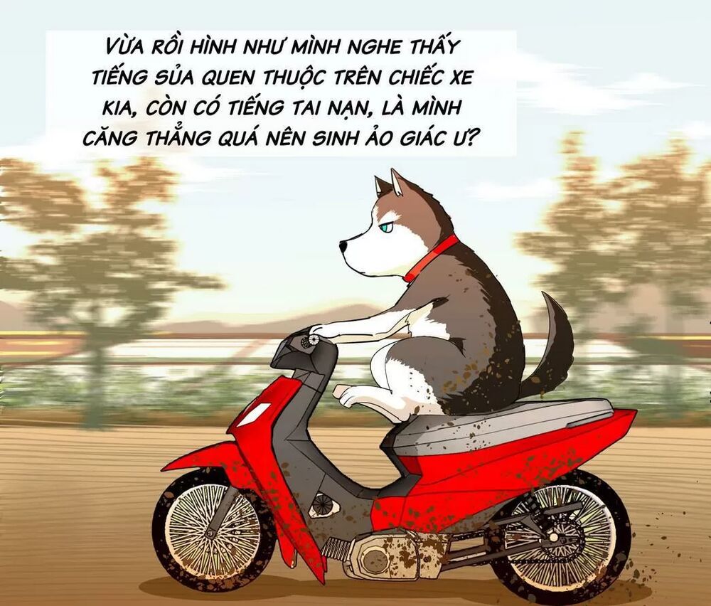 Một Con Chó: Chapter 64