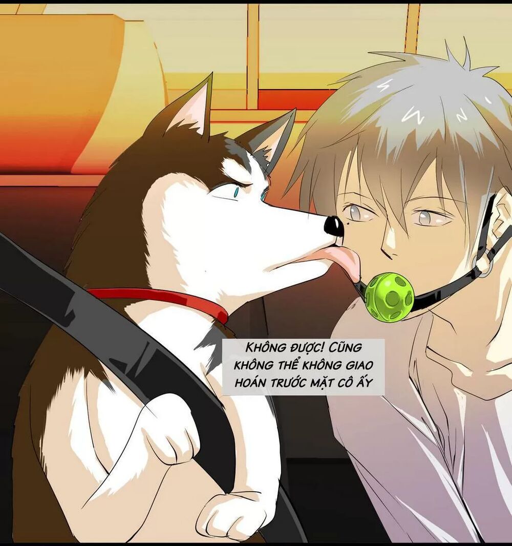 Một Con Chó: Chapter 64