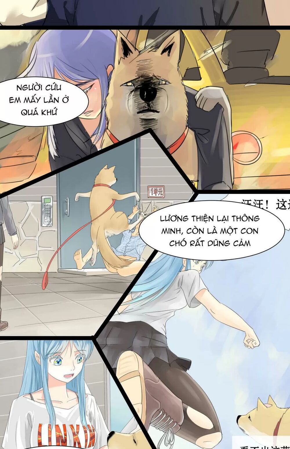 Một Con Chó: Chapter 65: END
