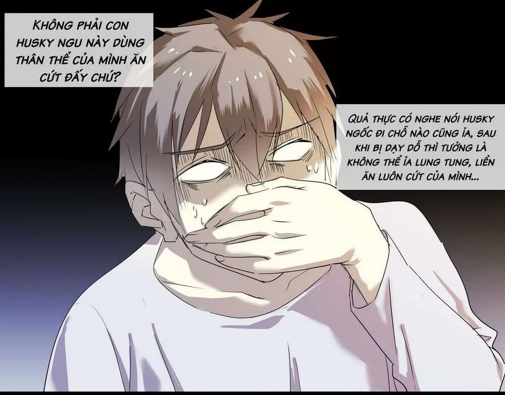 Một Con Chó: Chapter 65: END