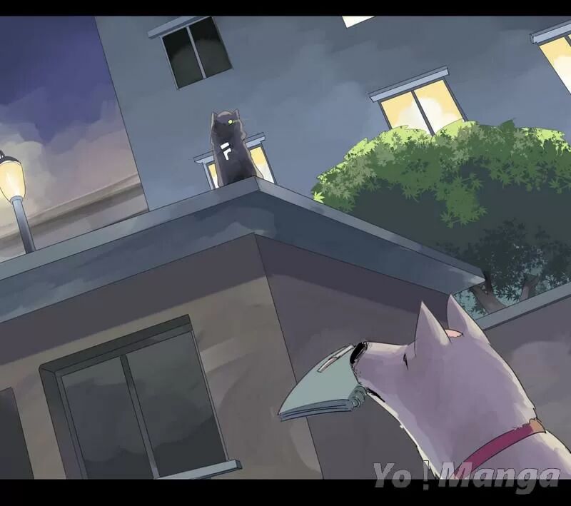 Một Con Chó: Chapter 7