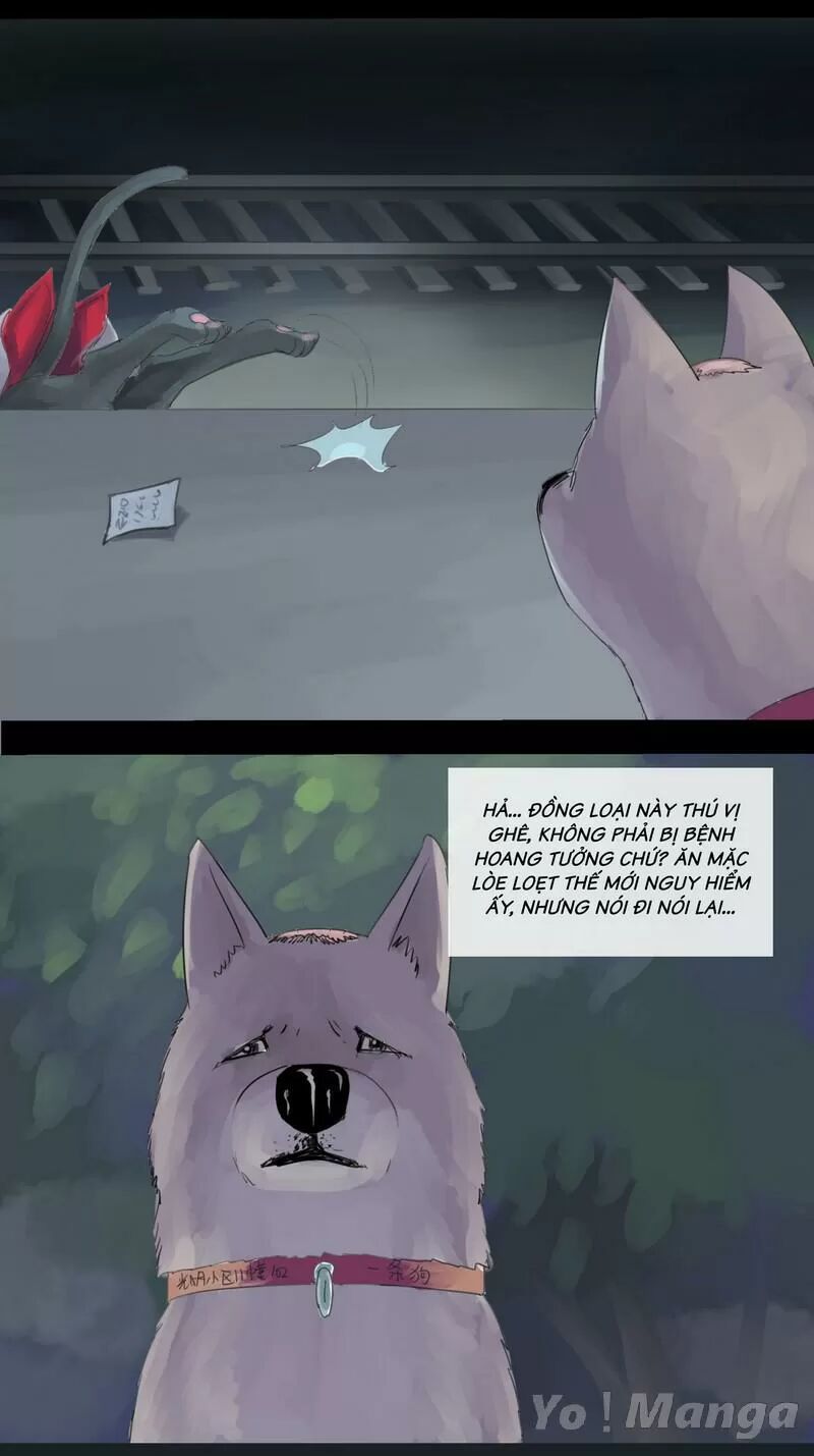 Một Con Chó: Chapter 8