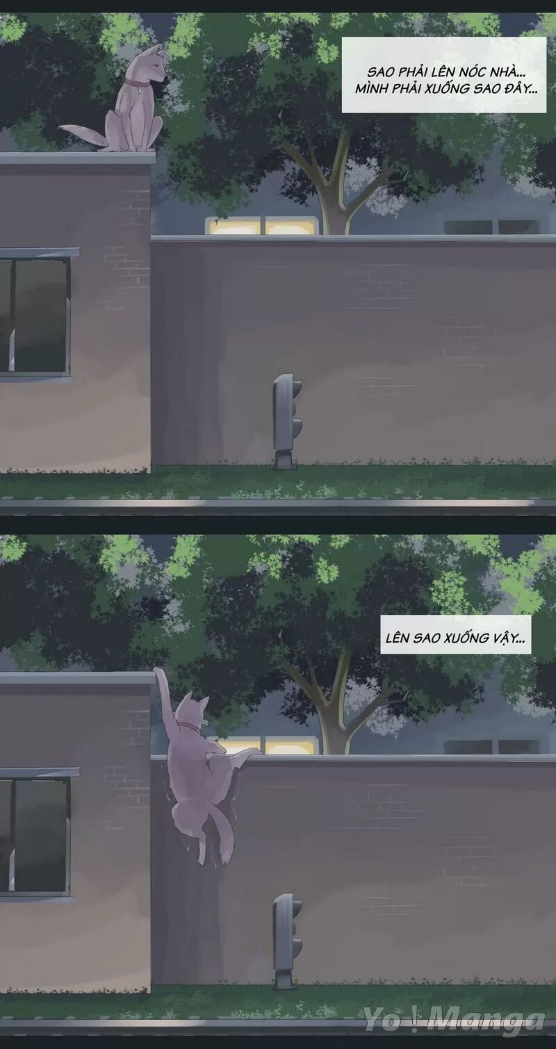 Một Con Chó: Chapter 8