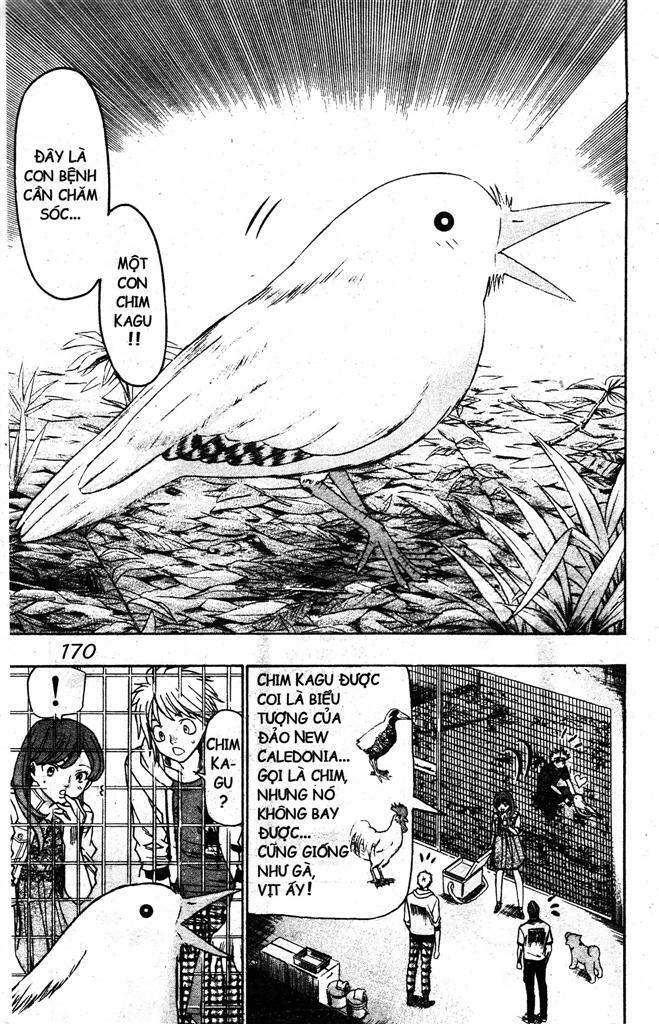 Wild life Cuộc Sống Hoang Dã: Chapter 116