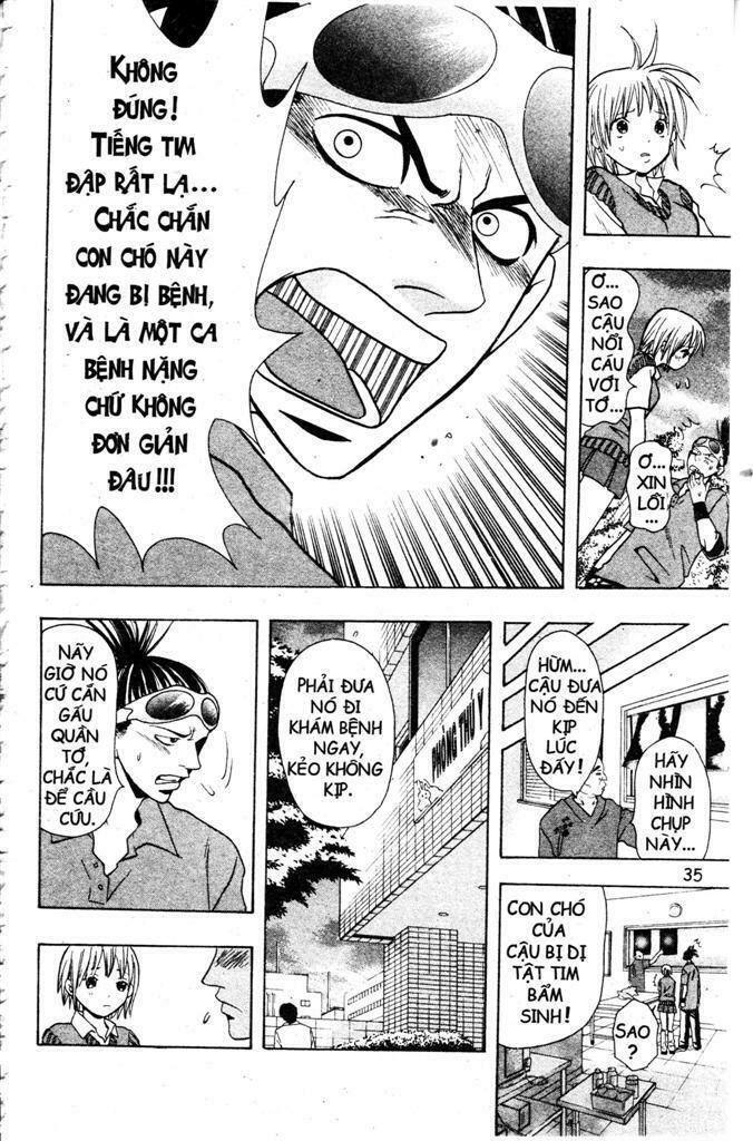 Wild life Cuộc Sống Hoang Dã: Chapter 2