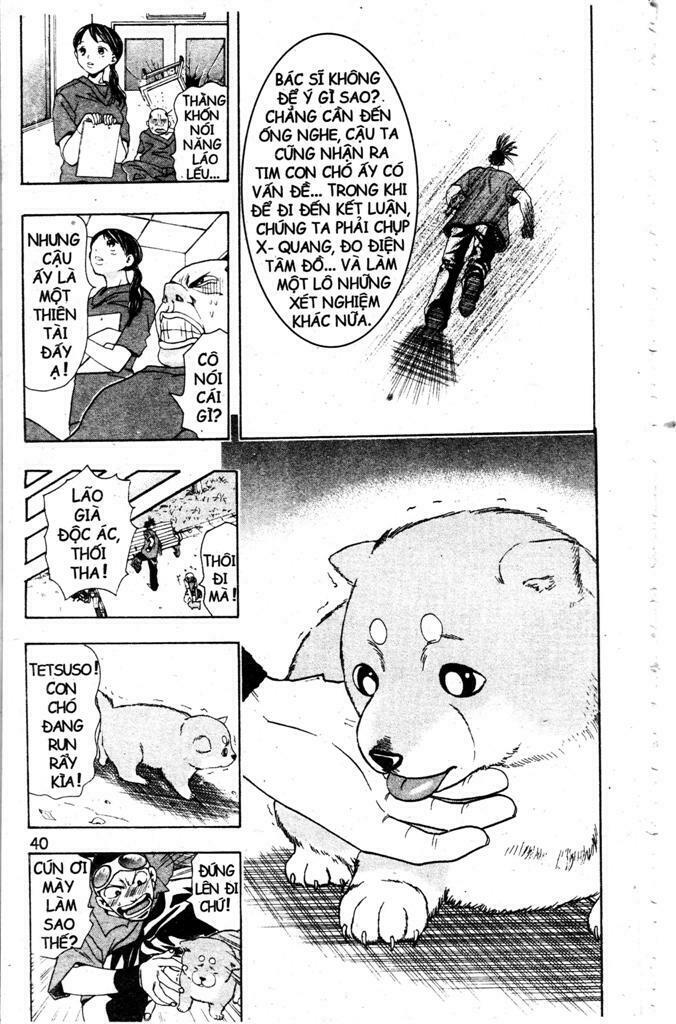 Wild life Cuộc Sống Hoang Dã: Chapter 2