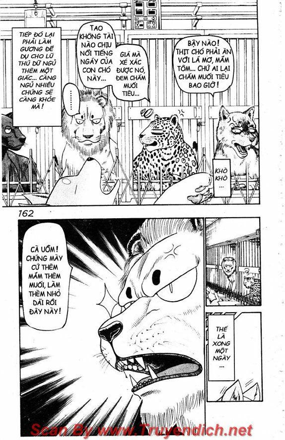 Wild life Cuộc Sống Hoang Dã: Chapter 31