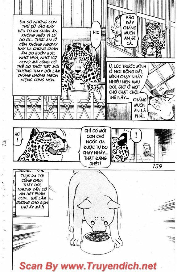 Wild life Cuộc Sống Hoang Dã: Chapter 31