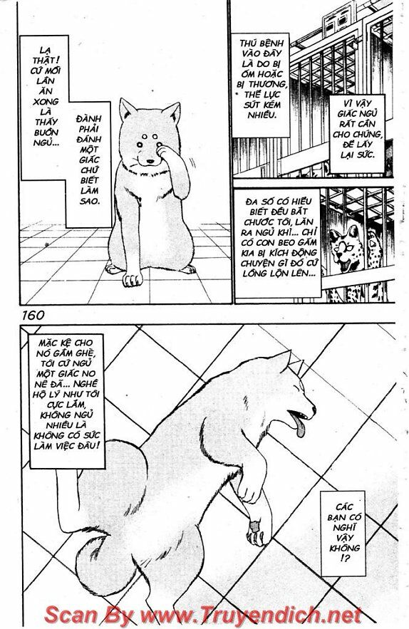 Wild life Cuộc Sống Hoang Dã: Chapter 31