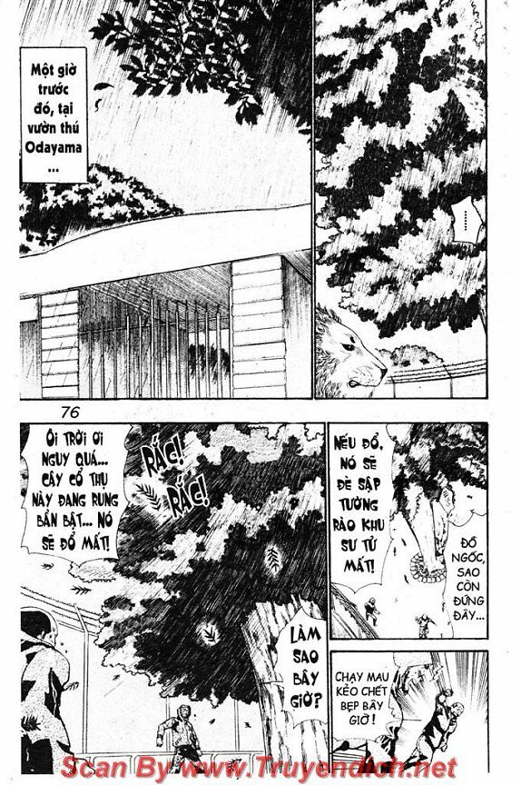 Wild life Cuộc Sống Hoang Dã: Chapter 34