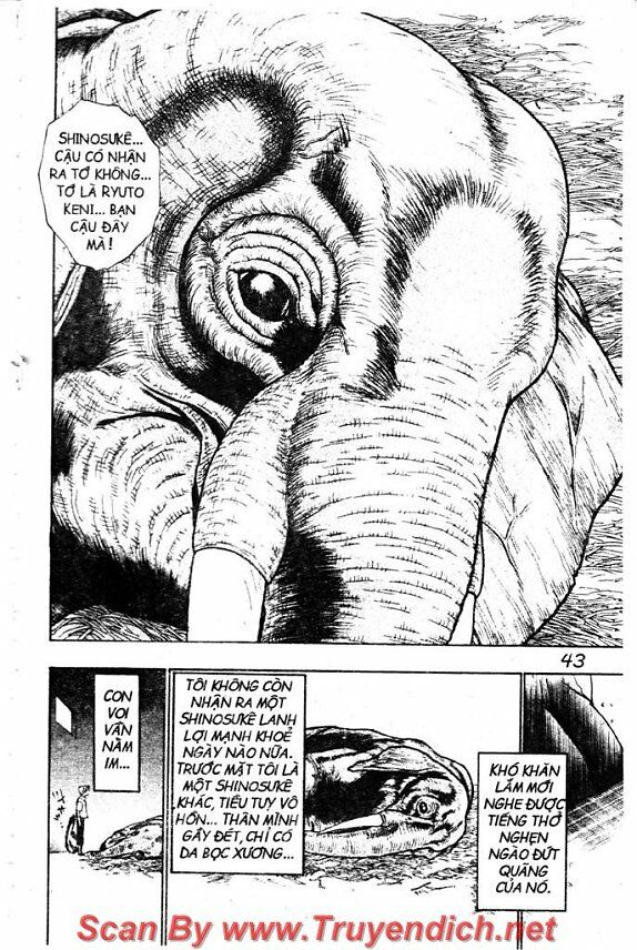 Wild life Cuộc Sống Hoang Dã: Chapter 41