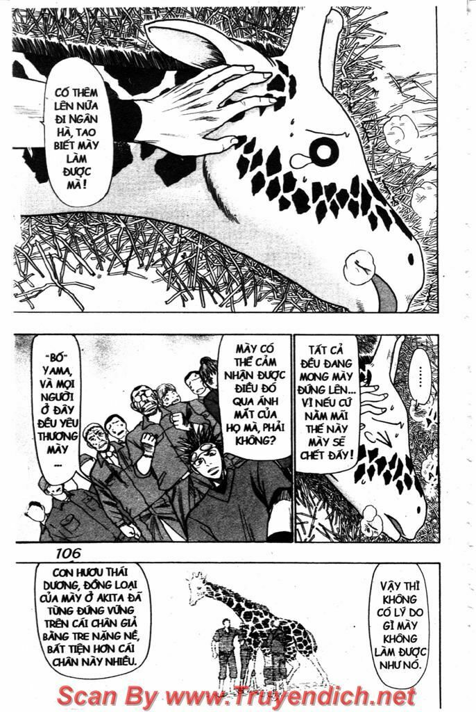 Wild life Cuộc Sống Hoang Dã: Chapter 44