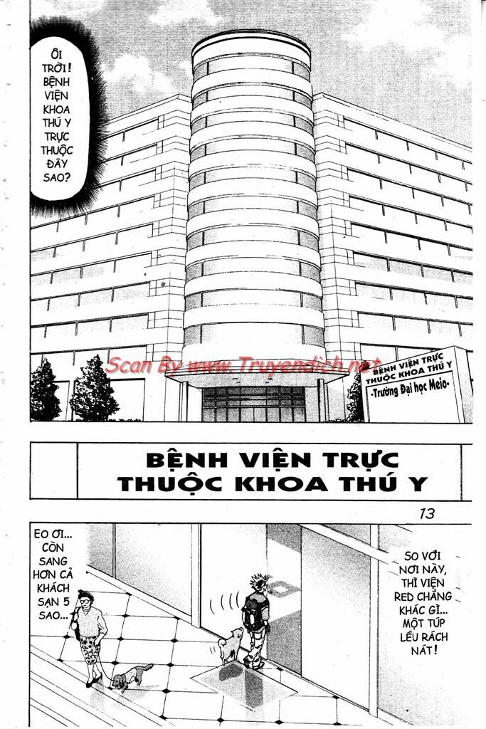Wild life Cuộc Sống Hoang Dã: Chapter 69