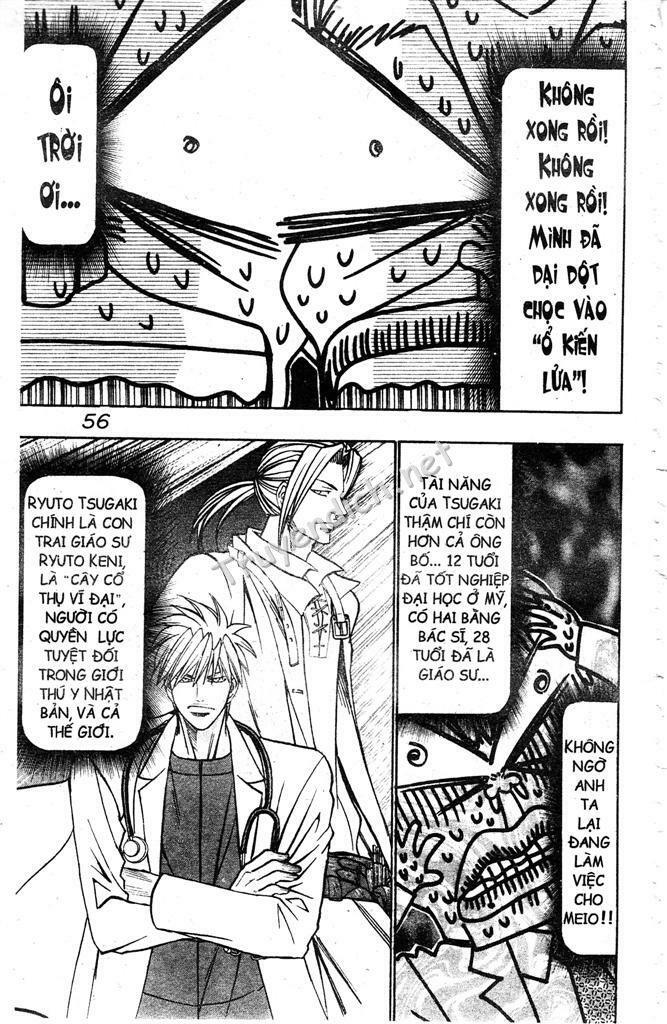 Wild life Cuộc Sống Hoang Dã: Chapter 94