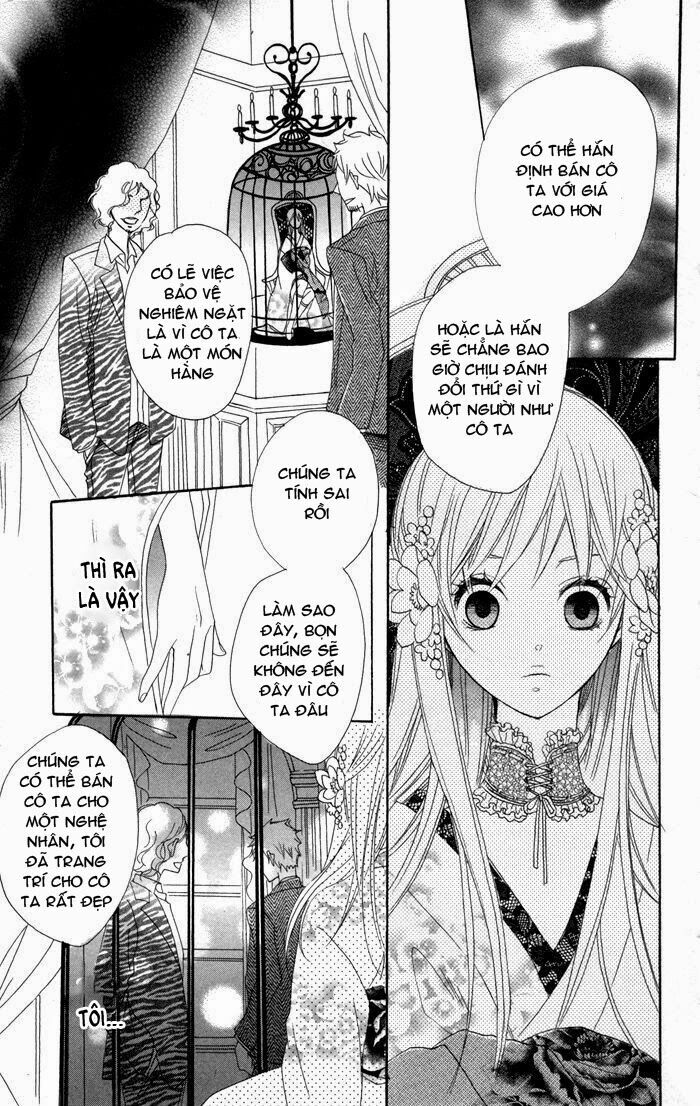 Hoa Hồng Hoang Dã: Chapter 2