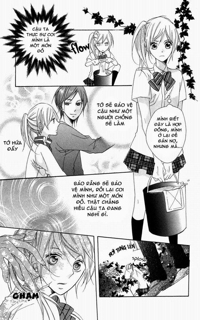 Hoa Hồng Hoang Dã: Chapter 3