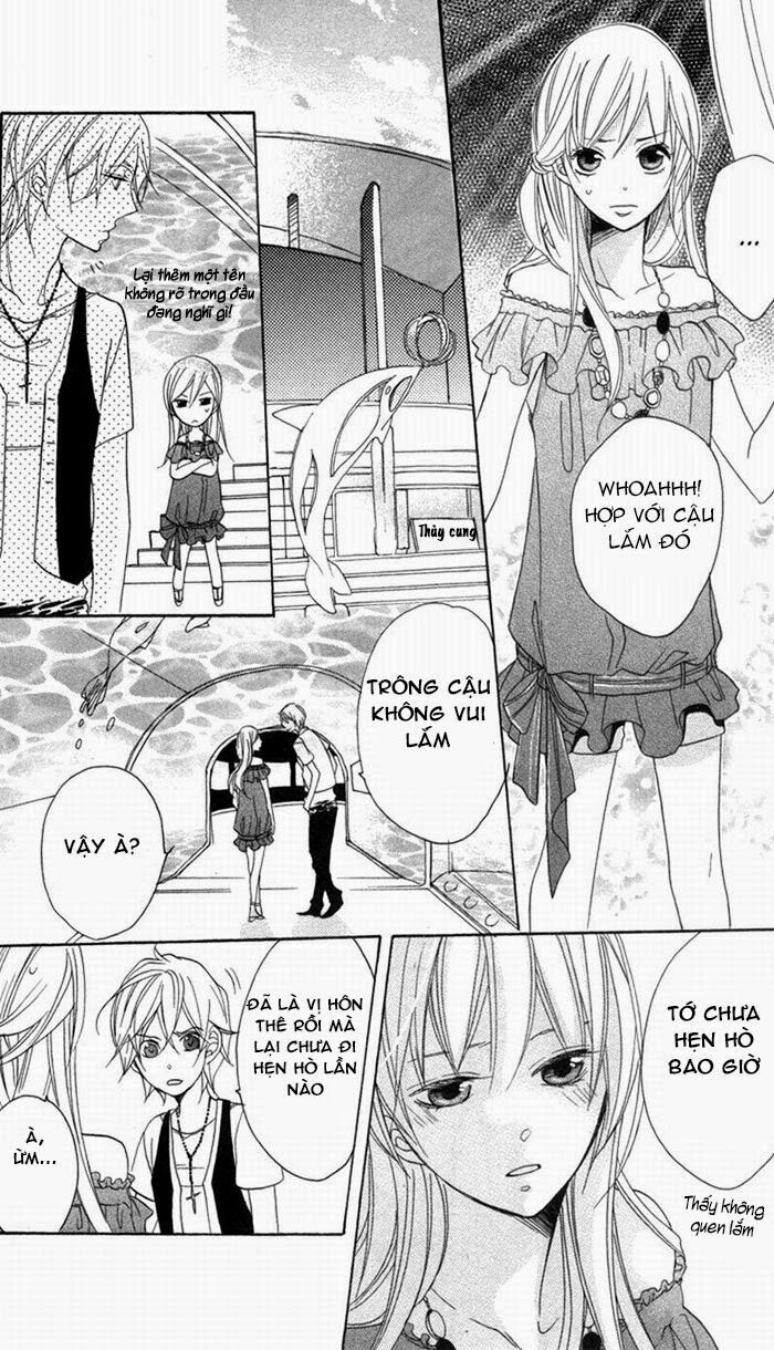 Hoa Hồng Hoang Dã: Chapter 3