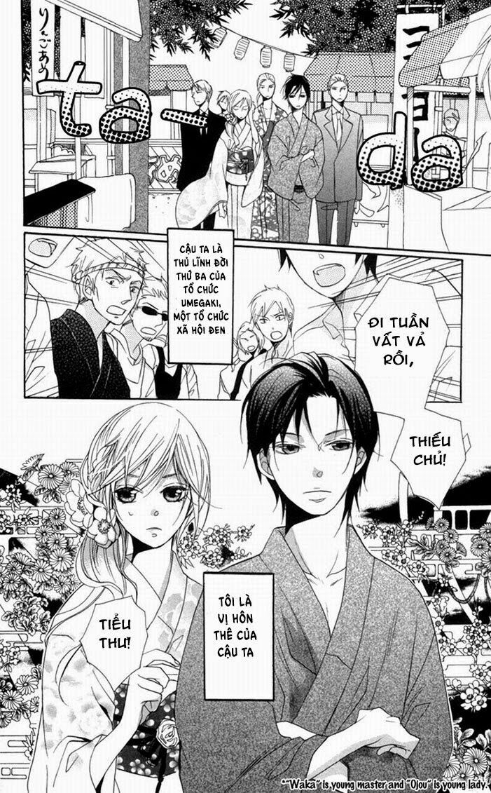 Hoa Hồng Hoang Dã: Chapter 3