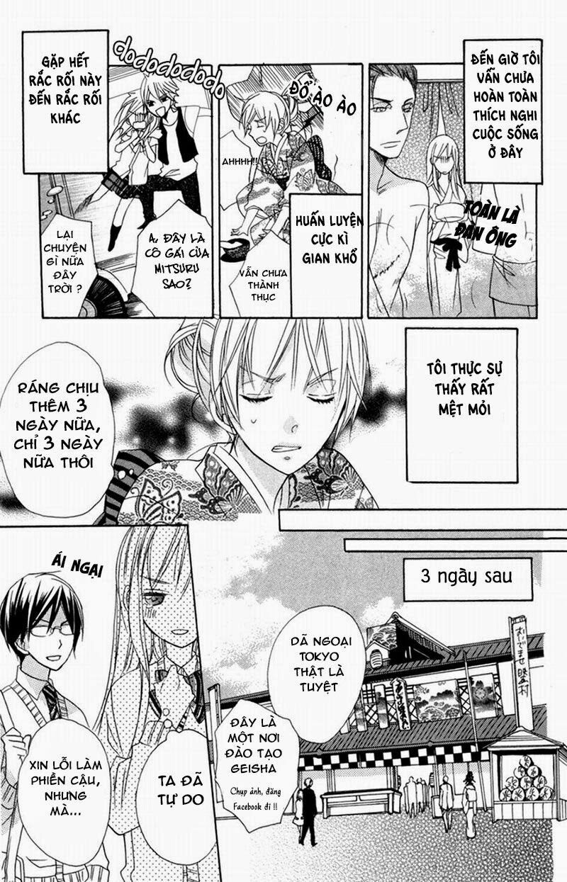 Hoa Hồng Hoang Dã: Chapter 4