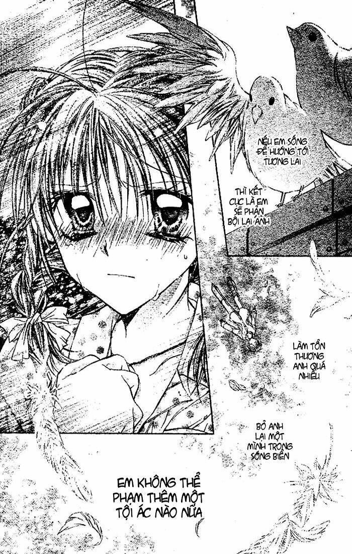Đi tìm Mặt Trăng Tròn: Chapter 17