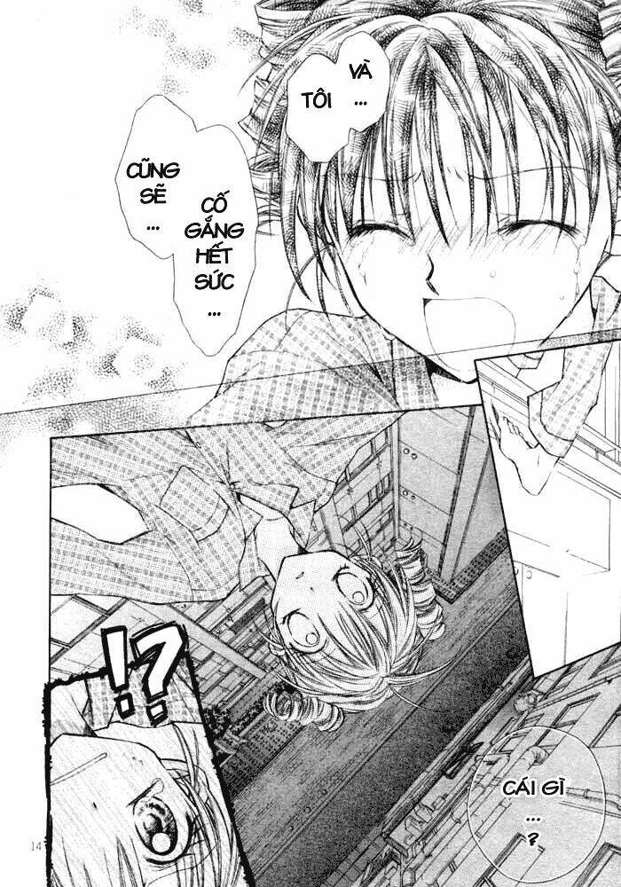 Đi tìm Mặt Trăng Tròn: Chapter 19