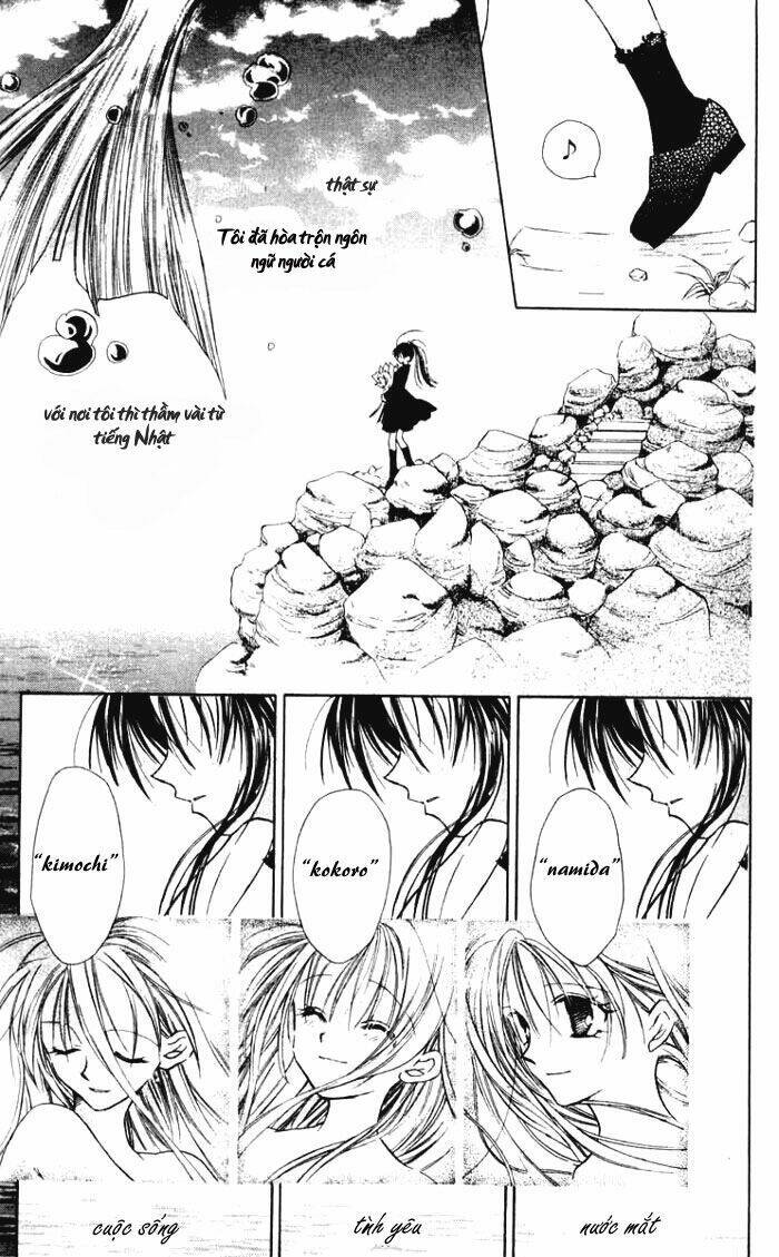Đi tìm Mặt Trăng Tròn: Chapter 6