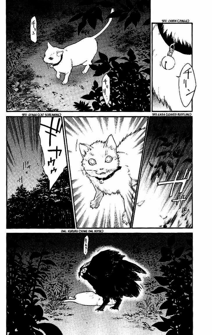 Alive - The Final Evolution: Chapter 19