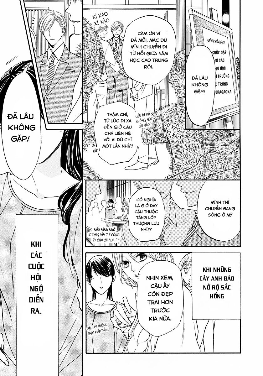 Dưới Bóng Cây Anh Đào: Chapter 1