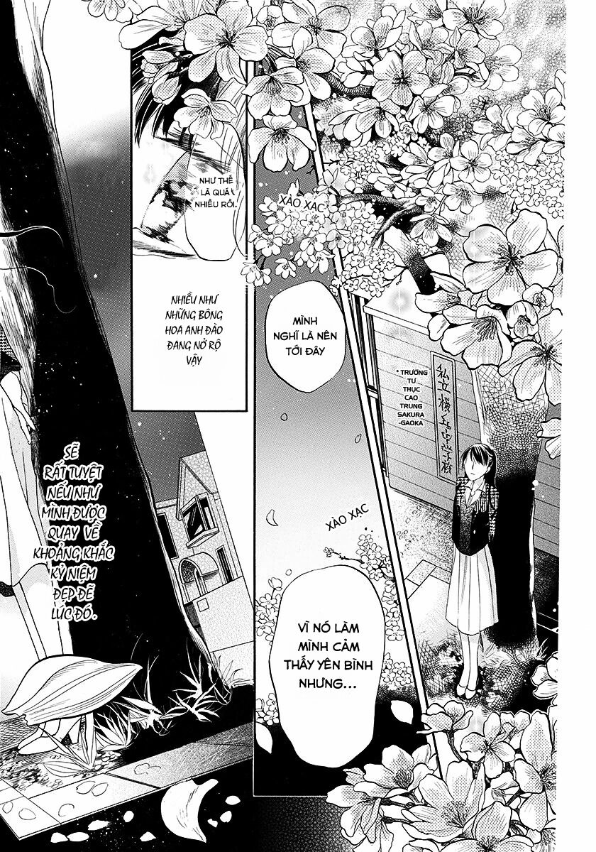 Dưới Bóng Cây Anh Đào: Chapter 1