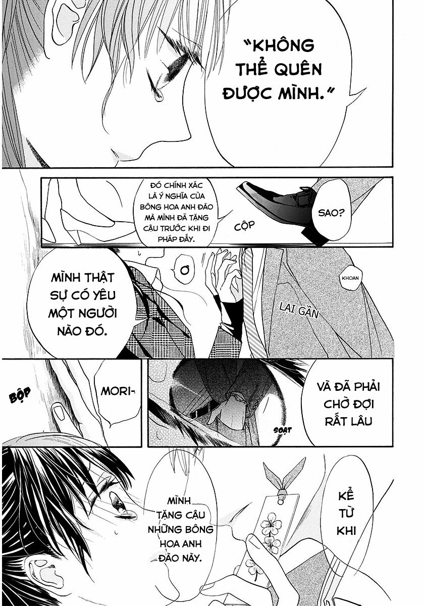 Dưới Bóng Cây Anh Đào: Chapter 1