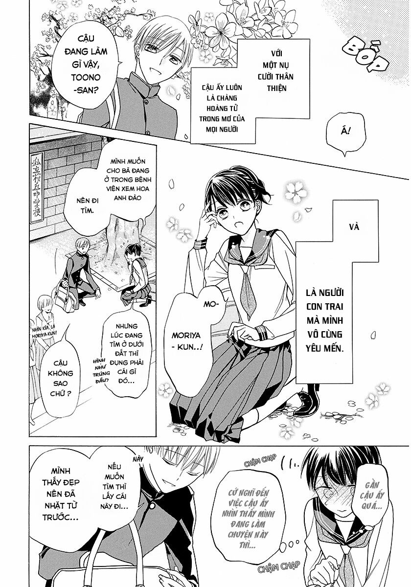 Dưới Bóng Cây Anh Đào: Chapter 1