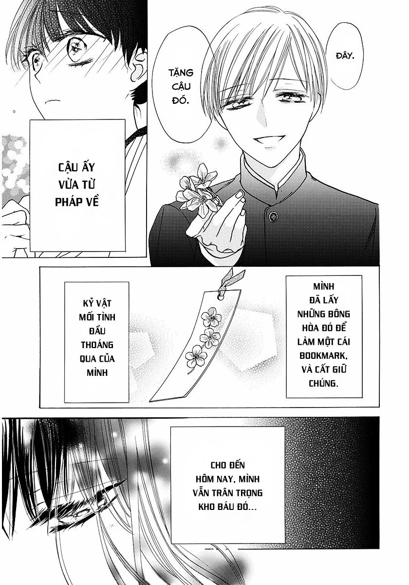 Dưới Bóng Cây Anh Đào: Chapter 1