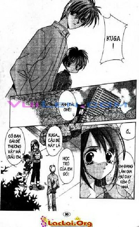 Honey: Chapter 4