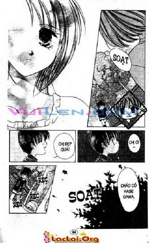 Honey: Chapter 4