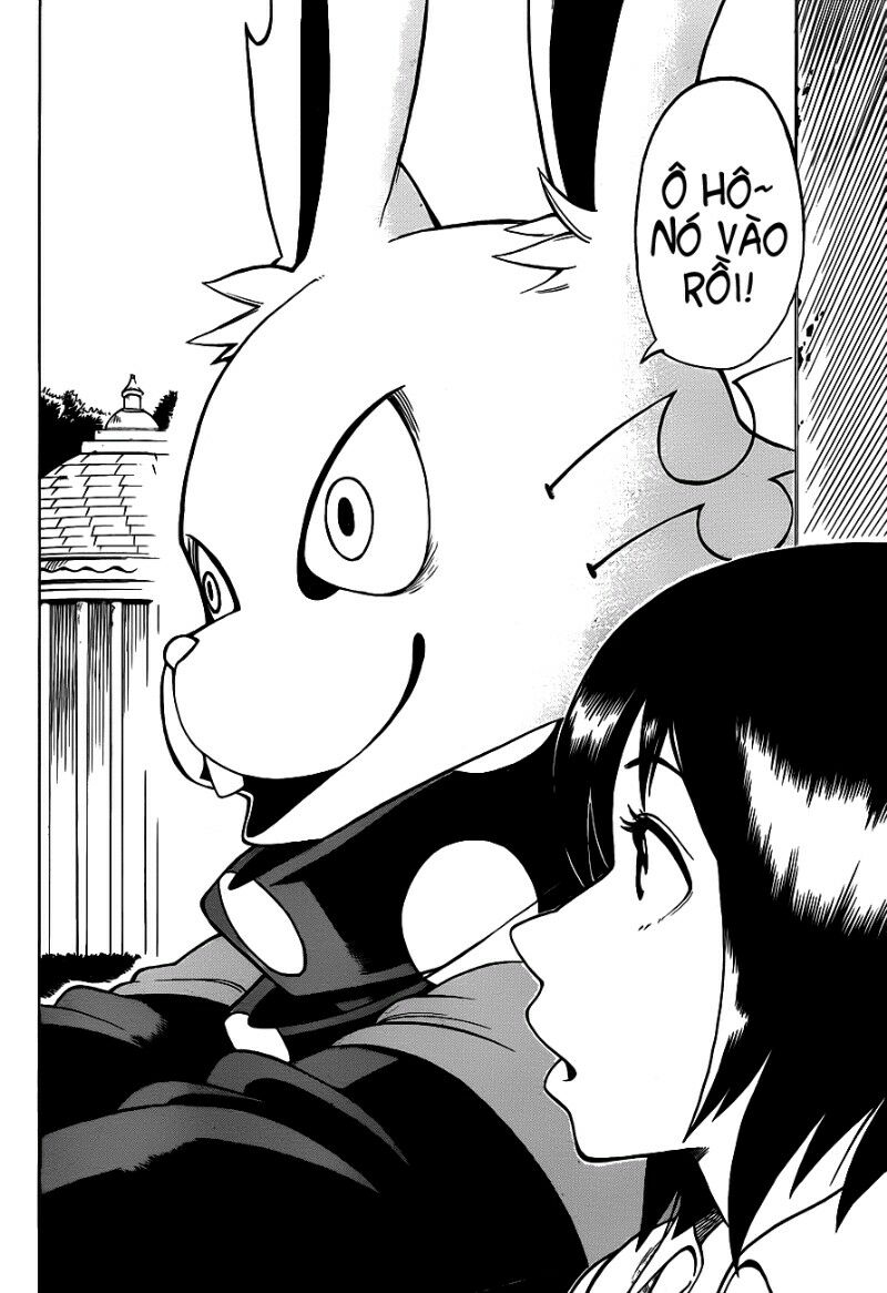 Oumagadoki Doubutsuen: Chapter 1.1