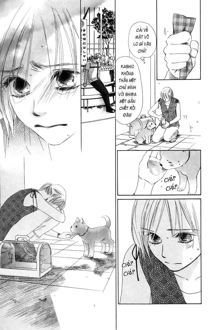 100% no Kimi e: Chapter 6: Theo đuổi