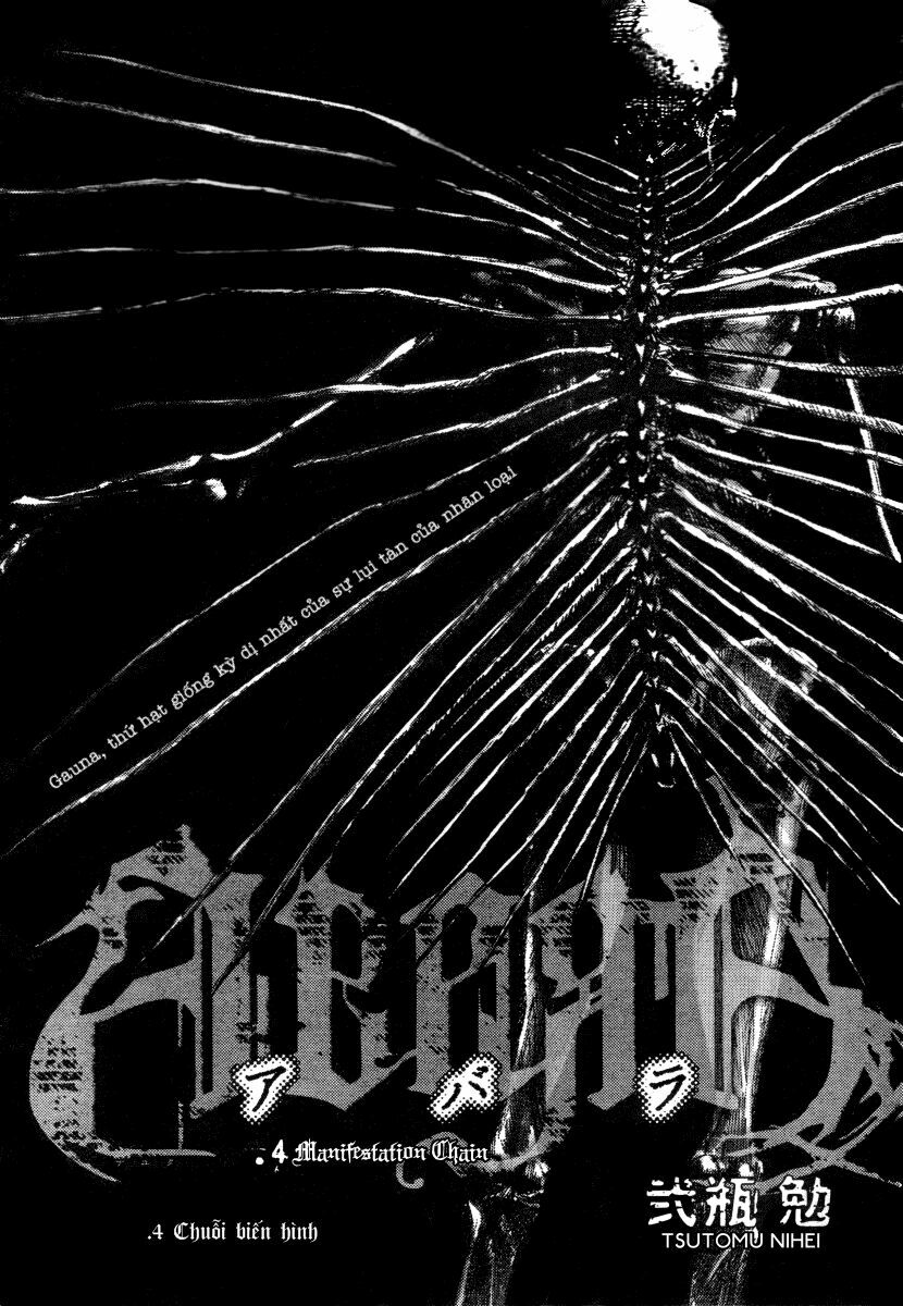 Gauna Biến Hình: Chapter 4: - Chuỗi biến hình