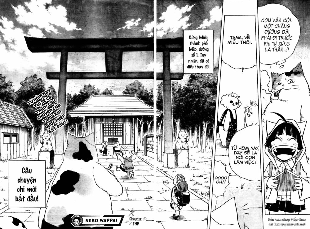 Nekowappa!: Chapter 1.3