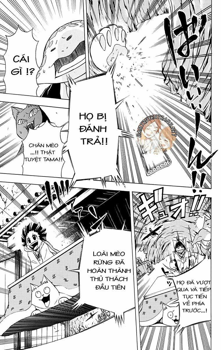 Nekowappa!: Chapter 9