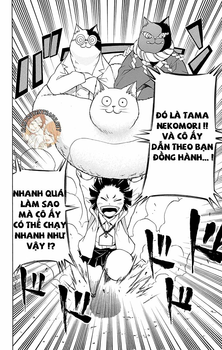 Nekowappa!: Chapter 9