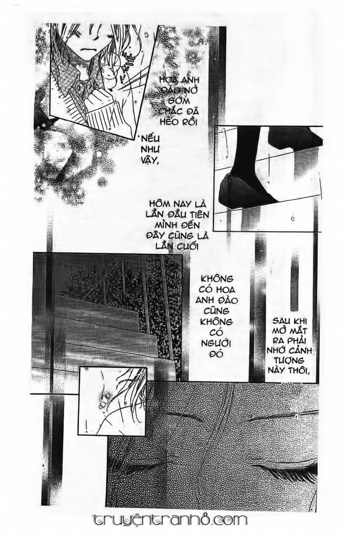 Gió Xuân: Chapter 5